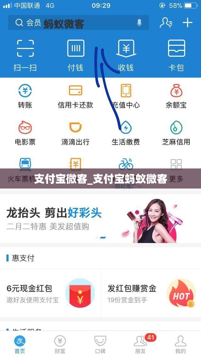 支付宝微客_支付宝蚂蚁微客