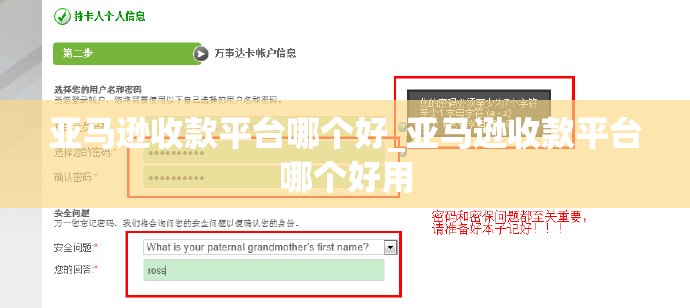 亚马逊收款平台哪个好_亚马逊收款平台哪个好用