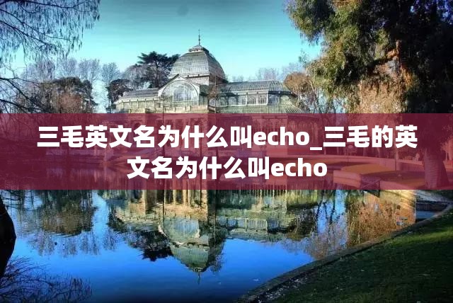 三毛英文名为什么叫echo_三毛的英文名为什么叫echo