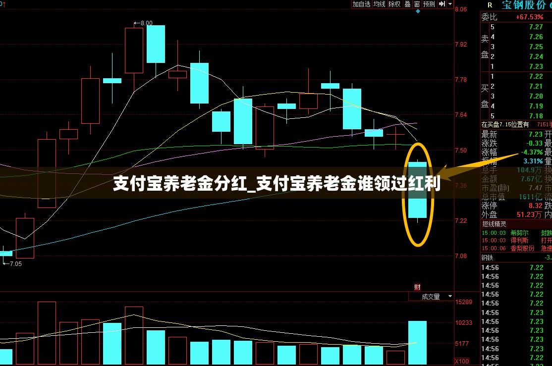 支付宝养老金分红_支付宝养老金谁领过红利