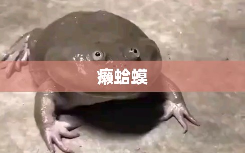 癞蛤蟆