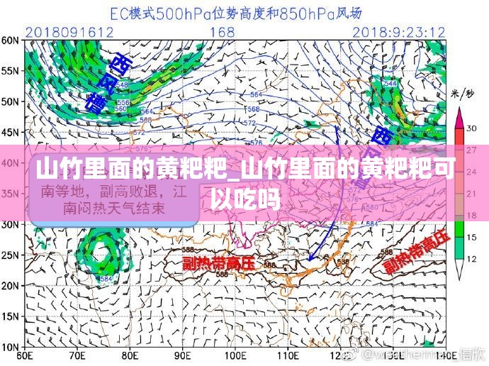 山竹里面的黄粑粑_山竹里面的黄粑粑可以吃吗