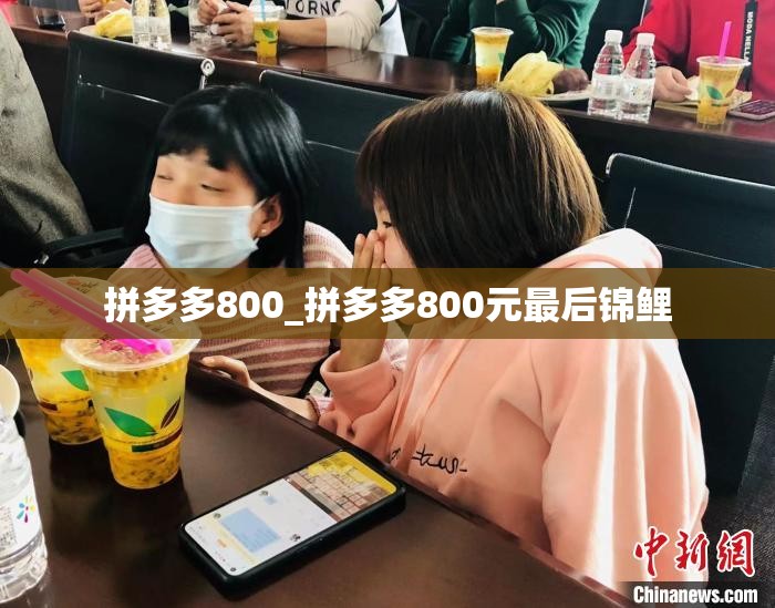 拼多多800_拼多多800元最后锦鲤