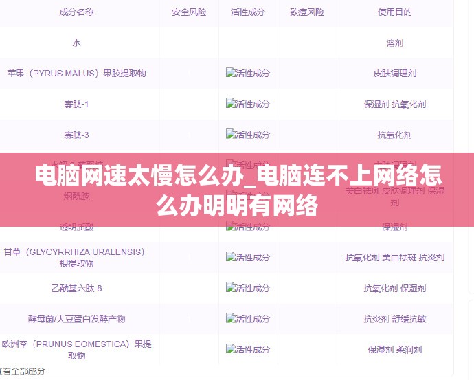 电脑网速太慢怎么办_电脑连不上网络怎么办明明有网络