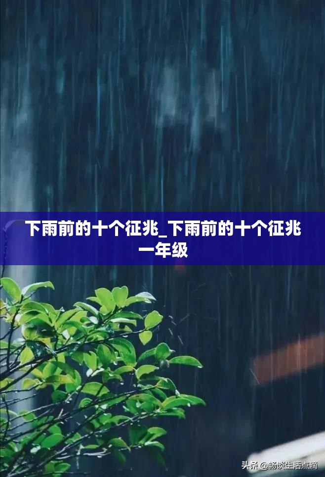 下雨前的十个征兆_下雨前的十个征兆一年级