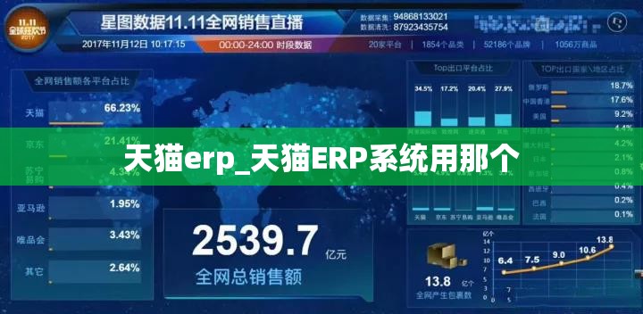 天猫erp_天猫ERP系统用那个