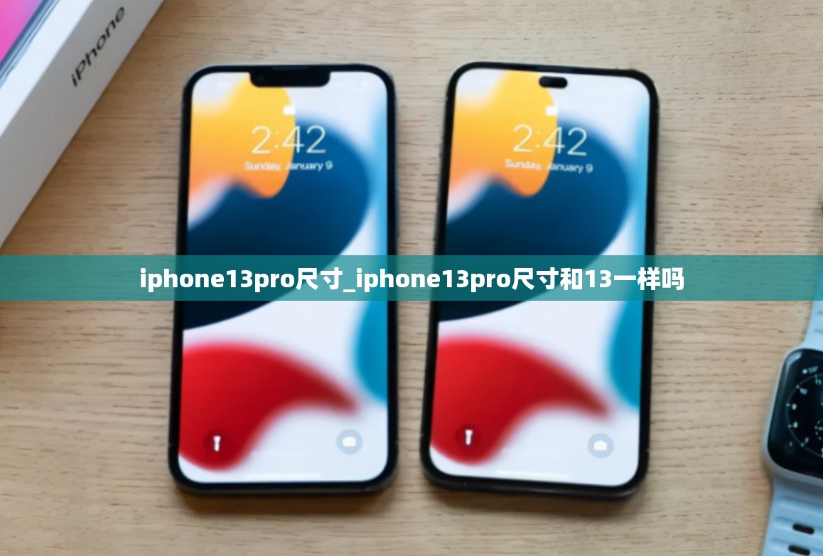 iphone13pro尺寸_iphone13pro尺寸和13一样吗