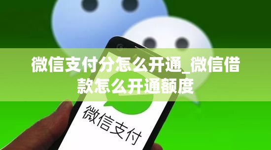 微信支付分怎么开通_微信借款怎么开通额度