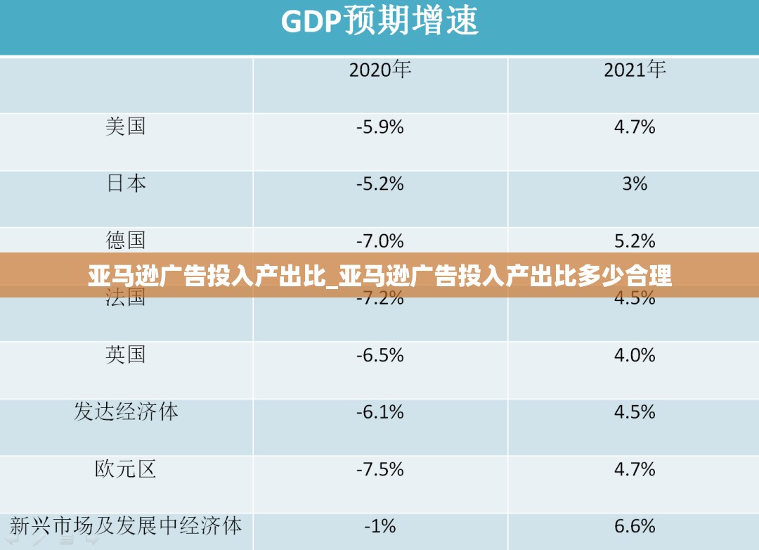 亚马逊广告投入产出比_亚马逊广告投入产出比多少合理