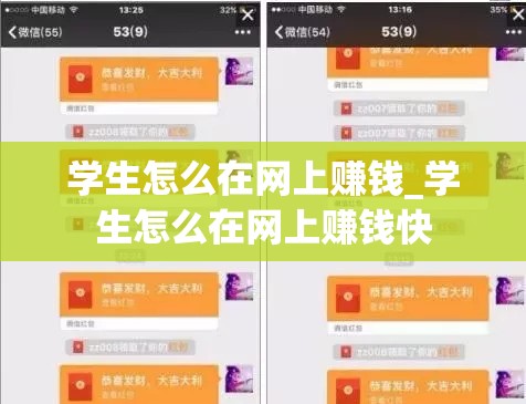 学生怎么在网上赚钱_学生怎么在网上赚钱快