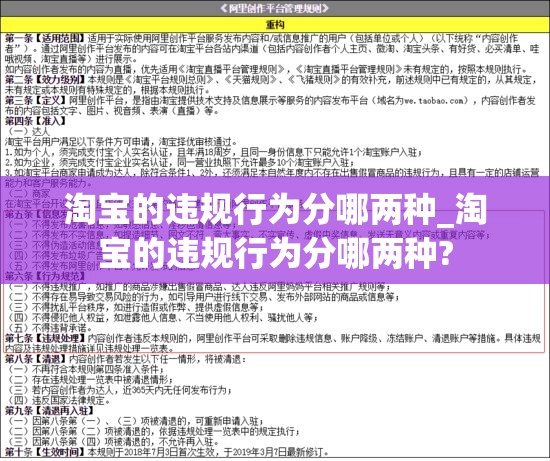 淘宝的违规行为分哪两种_淘宝的违规行为分哪两种?