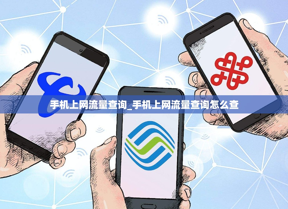 手机上网流量查询_手机上网流量查询怎么查