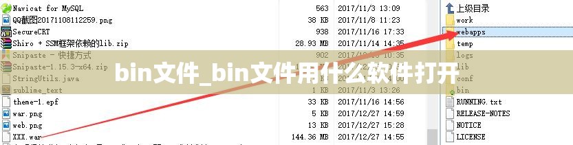 bin文件_bin文件用什么软件打开