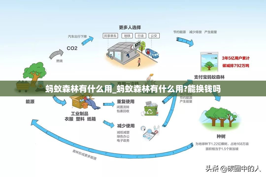 蚂蚁森林有什么用_蚂蚁森林有什么用?能换钱吗