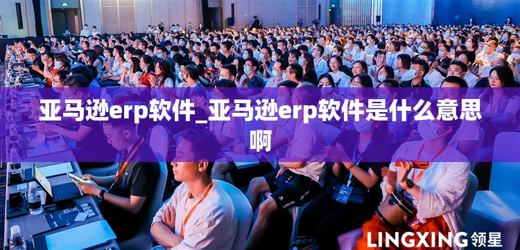 亚马逊erp软件_亚马逊erp软件是什么意思啊