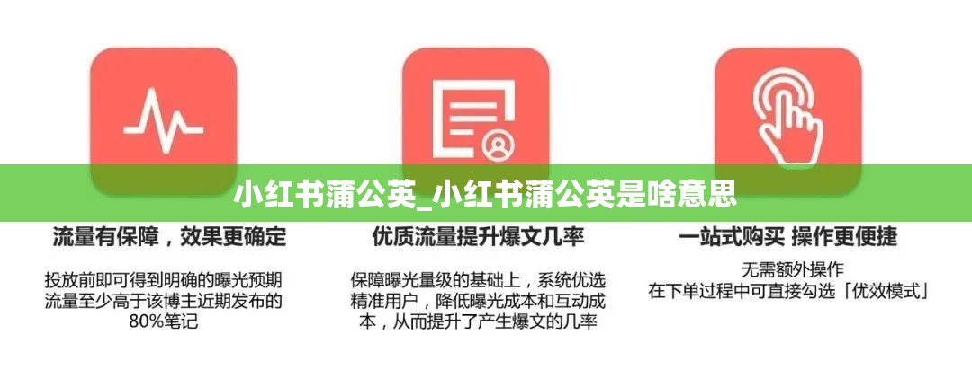 小红书蒲公英_小红书蒲公英是啥意思