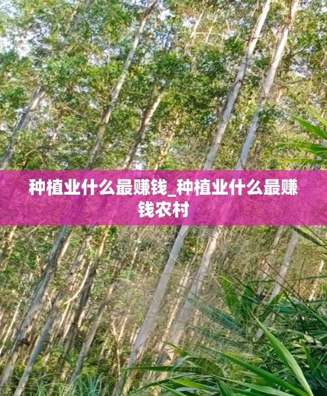 种植业什么最赚钱_种植业什么最赚钱农村