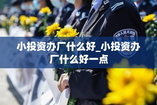 小投资办厂什么好_小投资办厂什么好一点