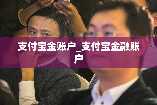 支付宝金账户_支付宝金融账户