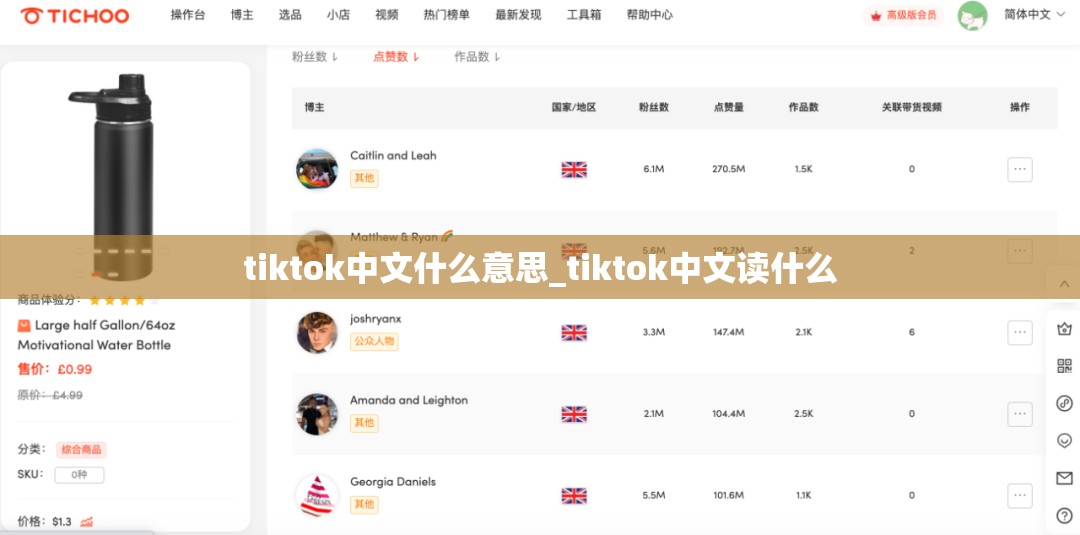 tiktok中文什么意思_tiktok中文读什么