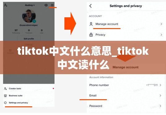 tiktok中文什么意思_tiktok中文读什么