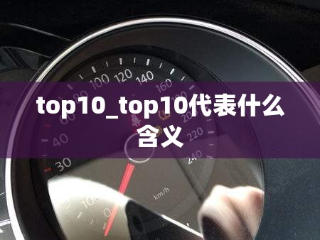 top10_top10代表什么含义