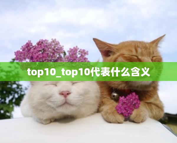 top10_top10代表什么含义