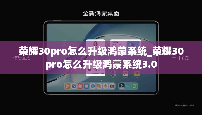 荣耀30pro怎么升级鸿蒙系统_荣耀30pro怎么升级鸿蒙系统3.0