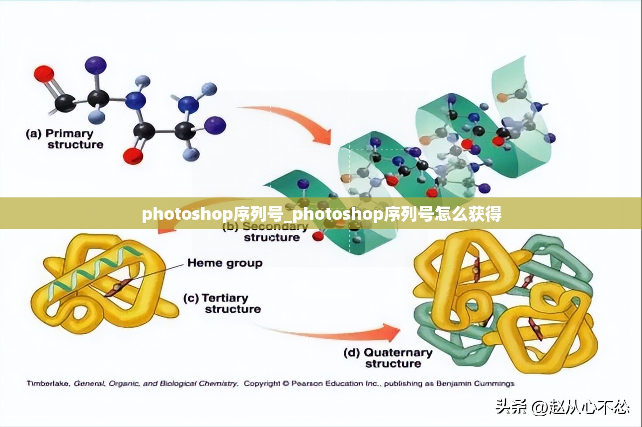 photoshop序列号_photoshop序列号怎么获得