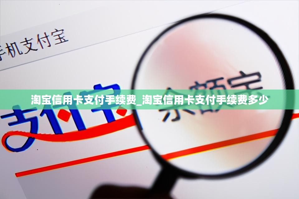 淘宝信用卡支付手续费_淘宝信用卡支付手续费多少