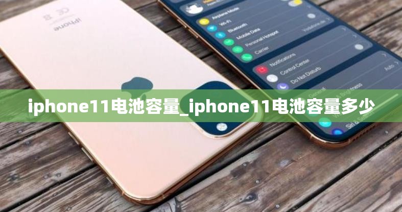 iphone11电池容量_iphone11电池容量多少