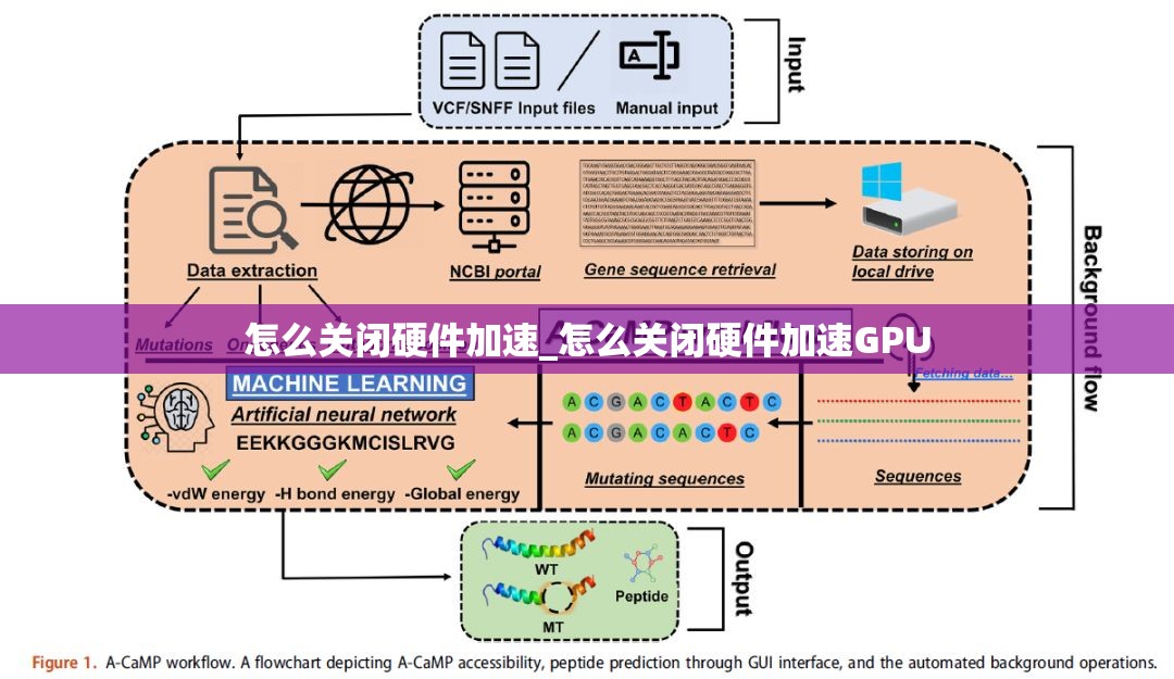 怎么关闭硬件加速_怎么关闭硬件加速GPU