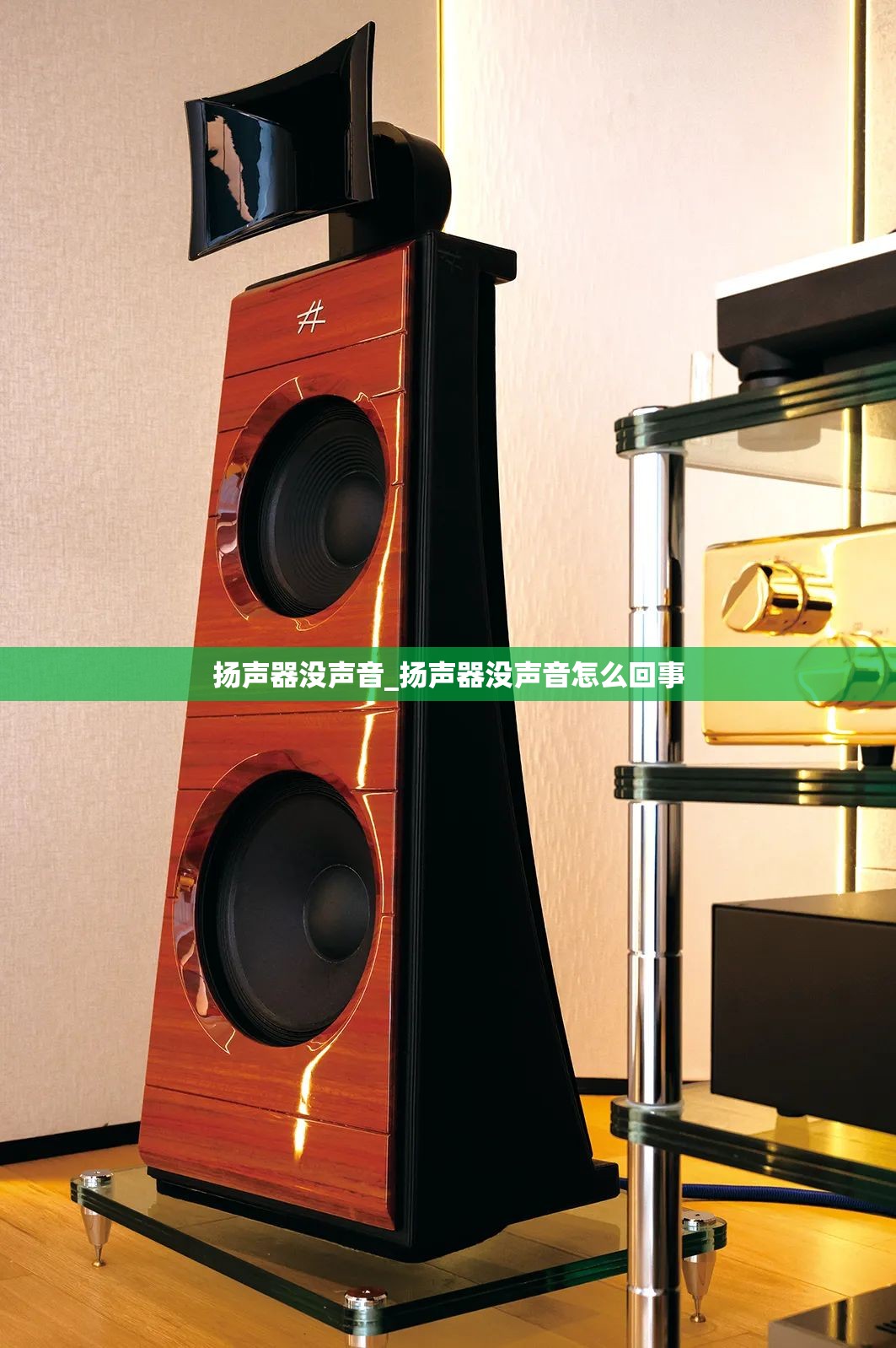 扬声器没声音_扬声器没声音怎么回事