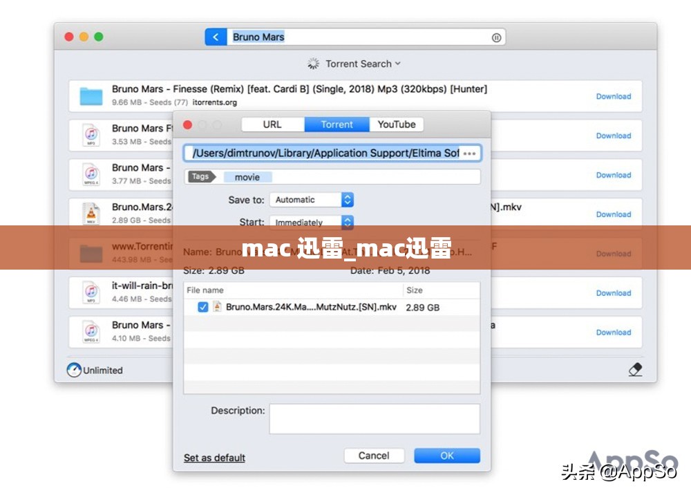 mac 迅雷_mac迅雷