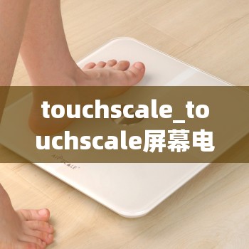 touchscale_touchscale屏幕电子秤