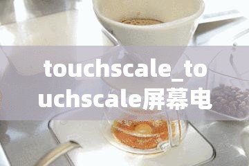 touchscale_touchscale屏幕电子秤