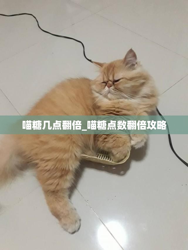 喵糖几点翻倍_喵糖点数翻倍攻略