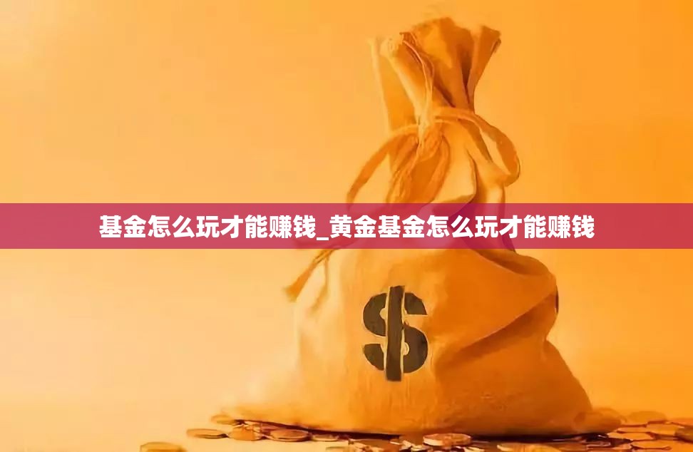 基金怎么玩才能赚钱_黄金基金怎么玩才能赚钱