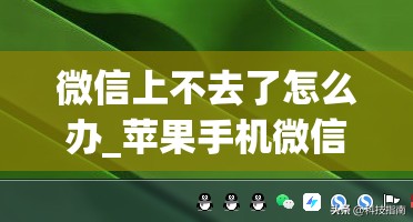 微信上不去了怎么办_苹果手机微信上不去了怎么办