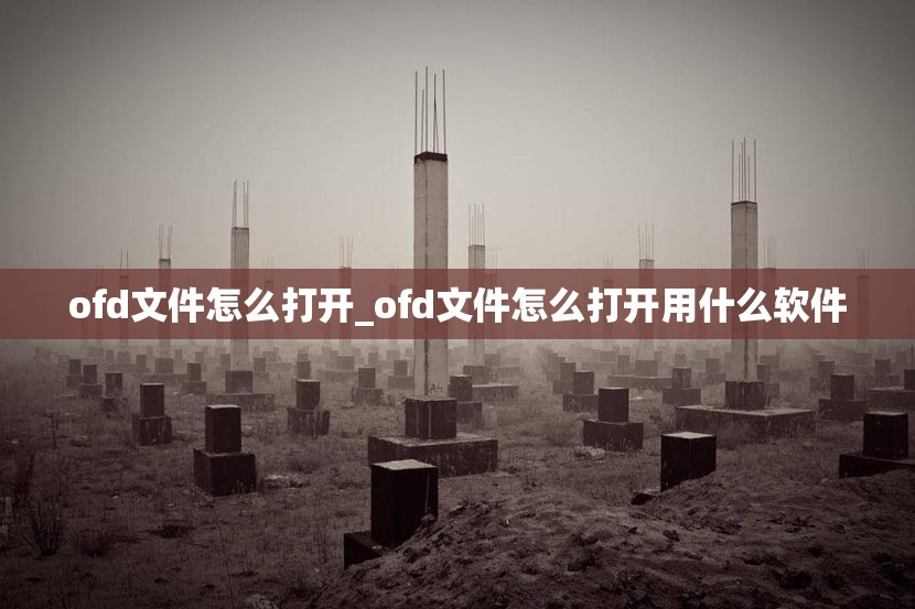 ofd文件怎么打开_ofd文件怎么打开用什么软件