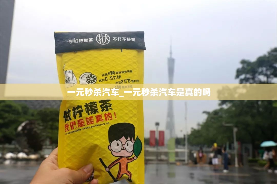 一元秒杀汽车_一元秒杀汽车是真的吗