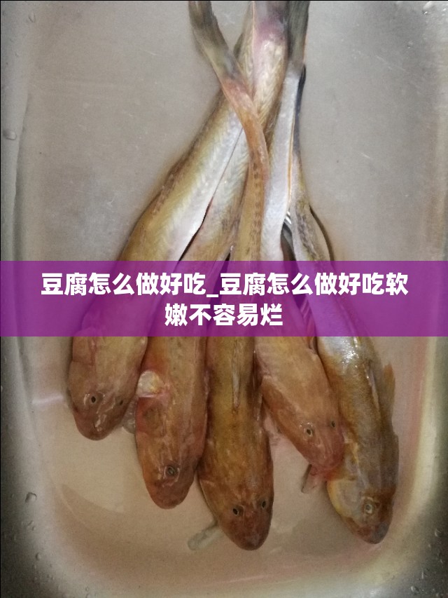 豆腐怎么做好吃_豆腐怎么做好吃软嫩不容易烂