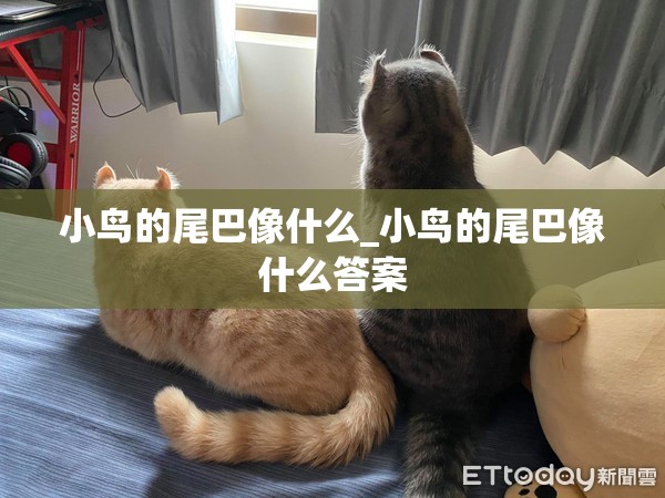 小鸟的尾巴像什么_小鸟的尾巴像什么答案