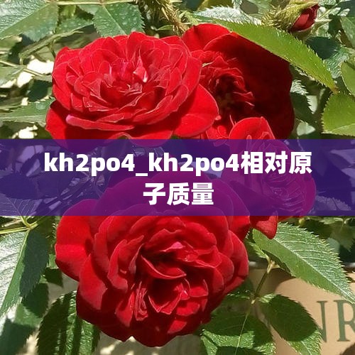 kh2po4_kh2po4相对原子质量