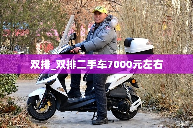 双排_双排二手车7000元左右