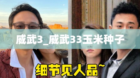 威武3_威武33玉米种子