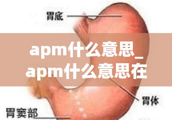 apm什么意思_apm什么意思在游戏里