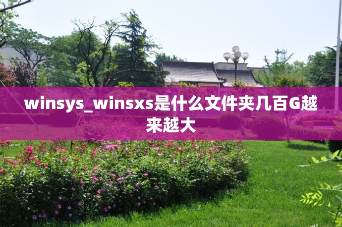 winsys_winsxs是什么文件夹几百G越来越大