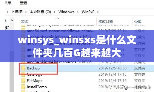 winsys_winsxs是什么文件夹几百G越来越大