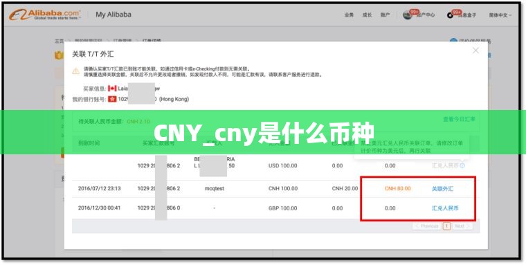 CNY_cny是什么币种